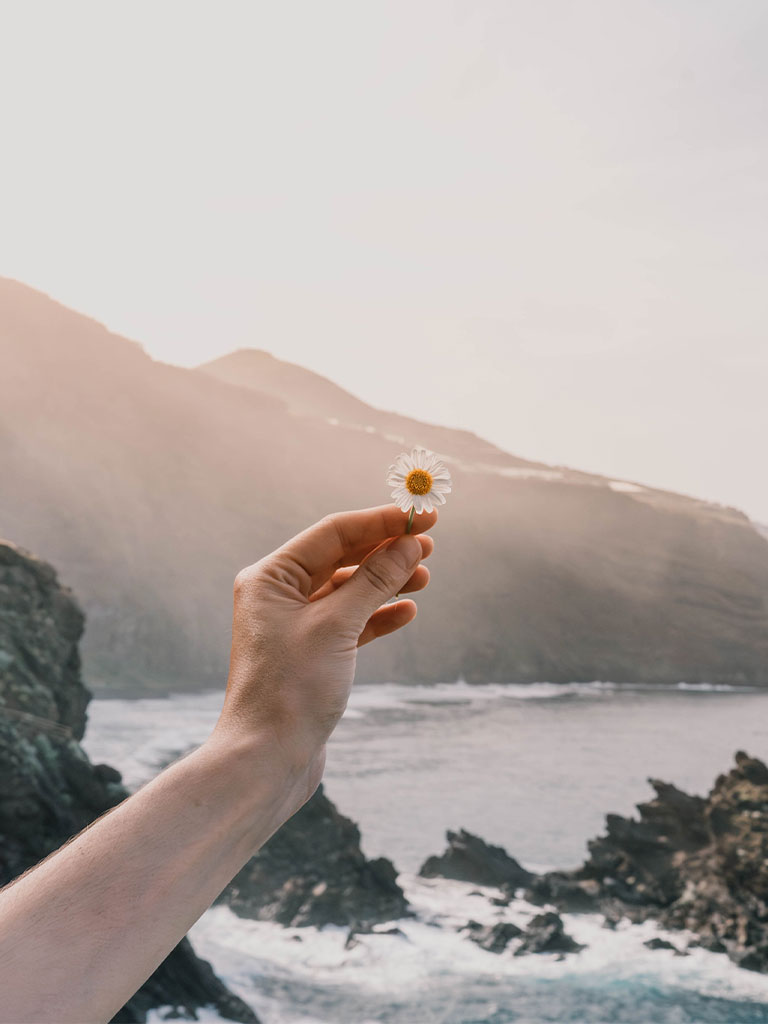 Online aile danışmanlığı için ilk tanışma ve ihtiyaç analizi aşaması