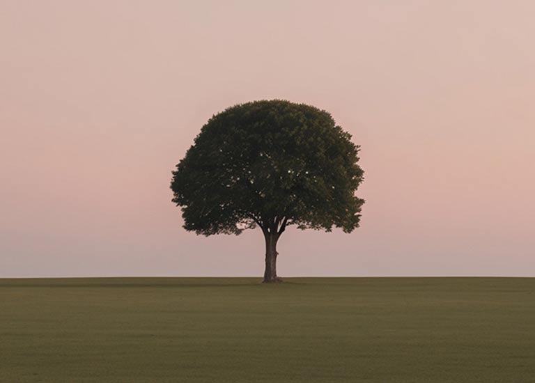 Senaile ile kök aileler ve çekirdek aile arasındaki sağlıklı sınırların şefkatle inşa edilme süreci